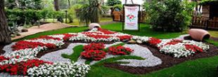 Mostra floreale Cervia Città Giardino: 47^ edizione 2019