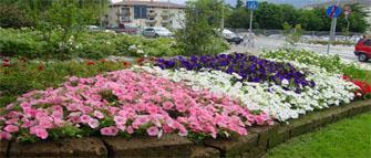Cervia Città Giardino 2014
