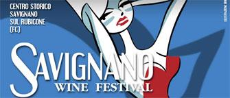 Savignano Wine Festival 2014
