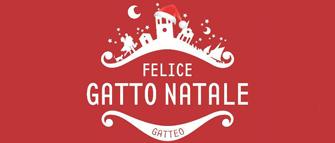 Felice Gatto Natale 2014