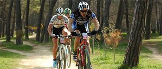 Sport Activity 2015