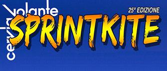International Sprintkite 2015