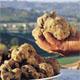 Fossa, Tartufo e Cerere - Mondaino